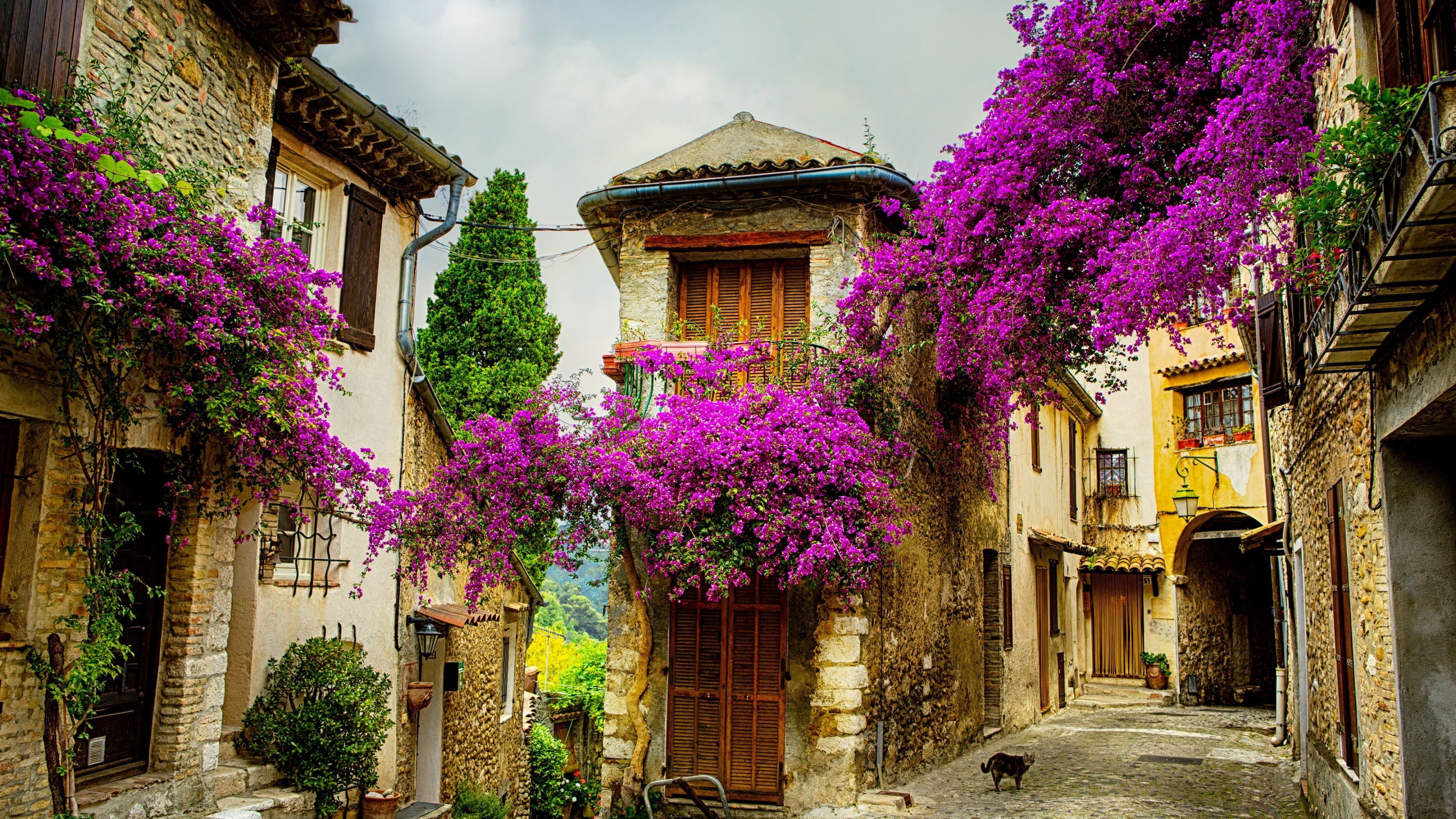 3840x2160 Wallpaper Provence