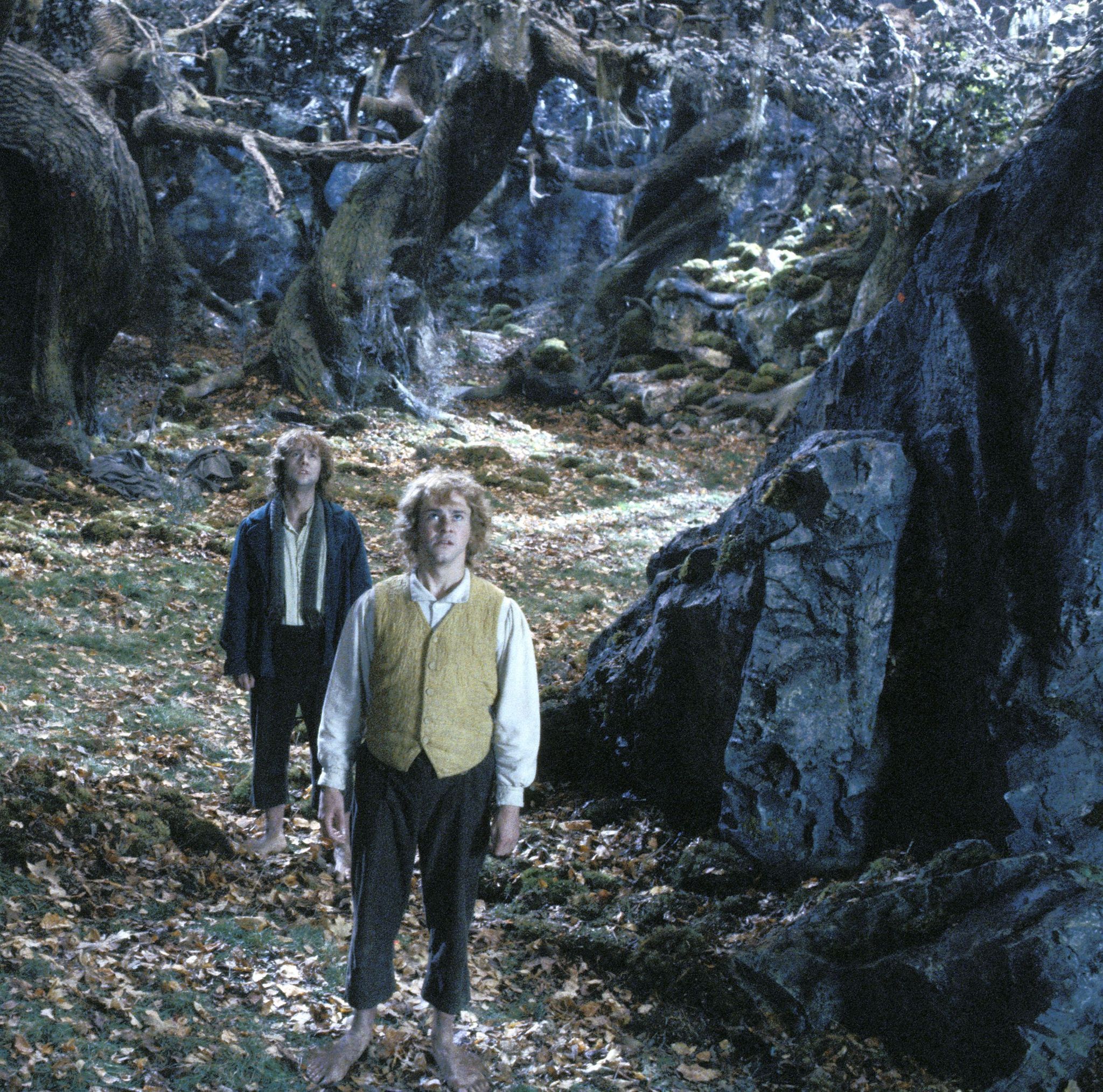 2048x2028 The Lord of the Rings: The Two Towers (2002)