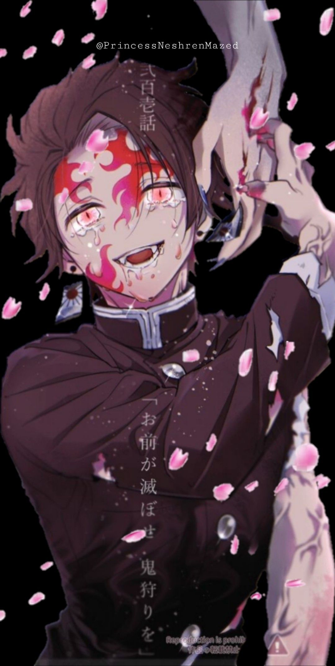 1080x2141 Tanjiro Kamado. Demon king anime, Anime demon, Demon art