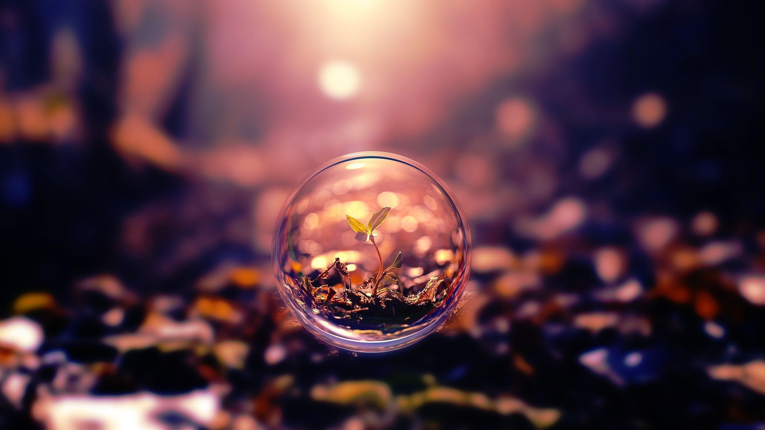 2560x1440 HD Bubbles Wallpaper