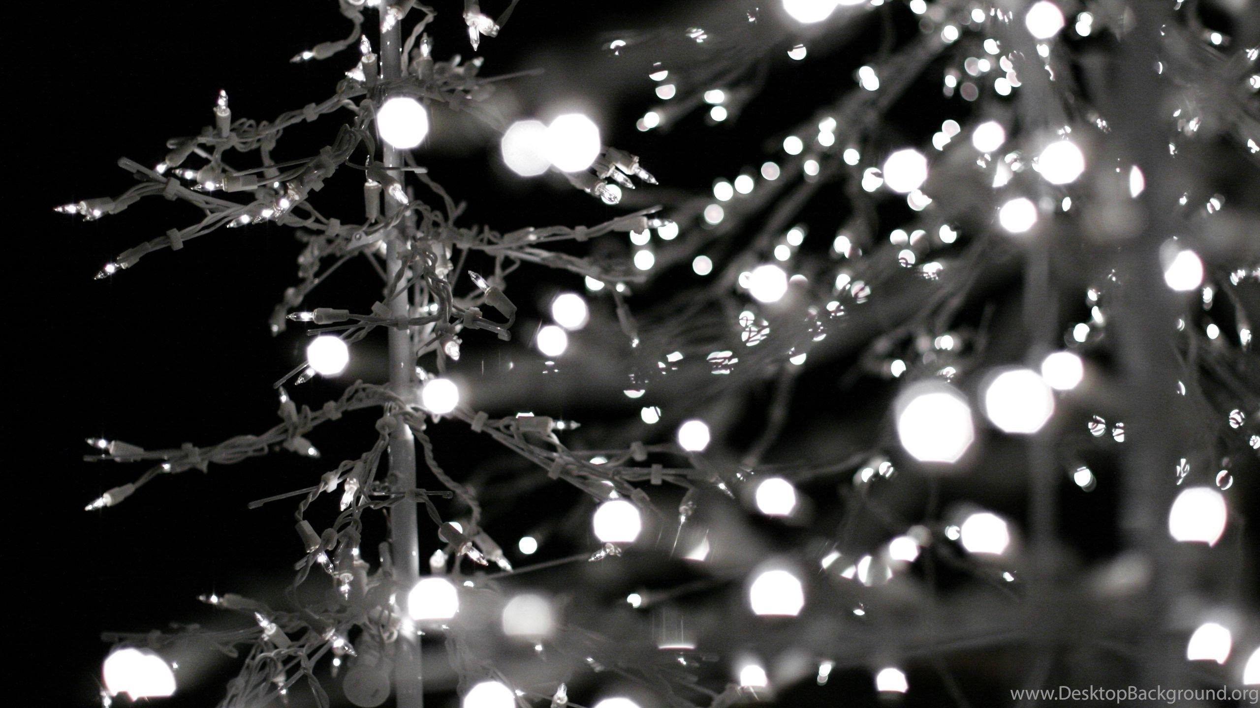 2560x1440 Christmas Photography Tumblr Wallpaper Free HD Desktop Background