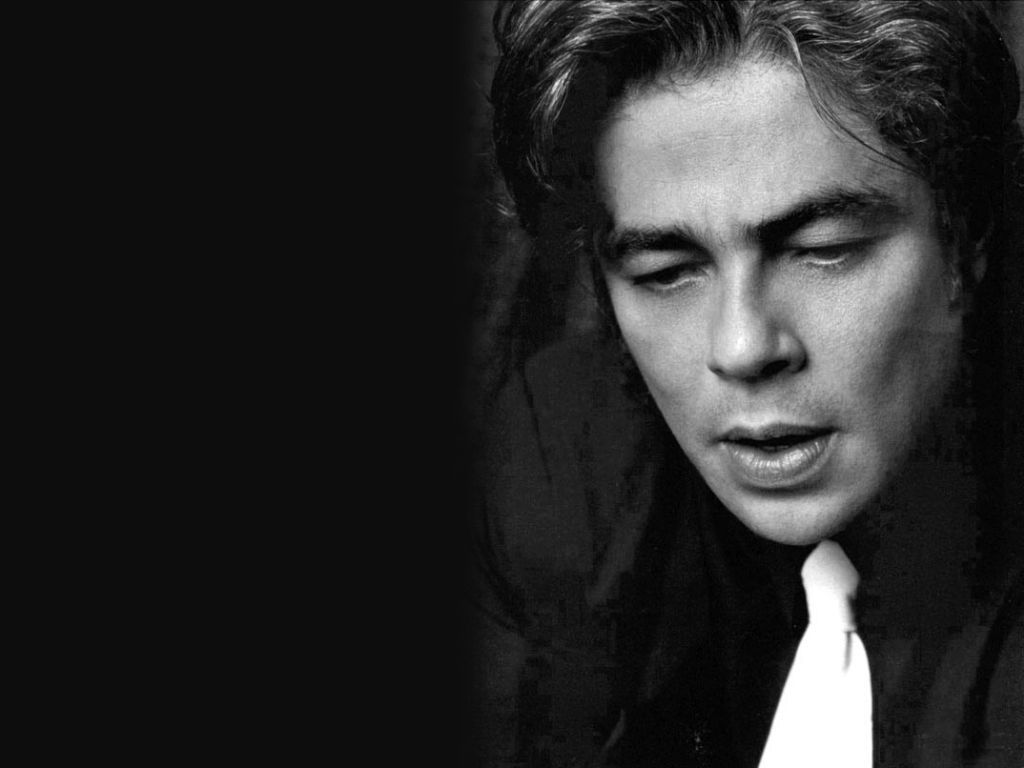 1024x768 Benicio del Toro del Toro Wallpaper
