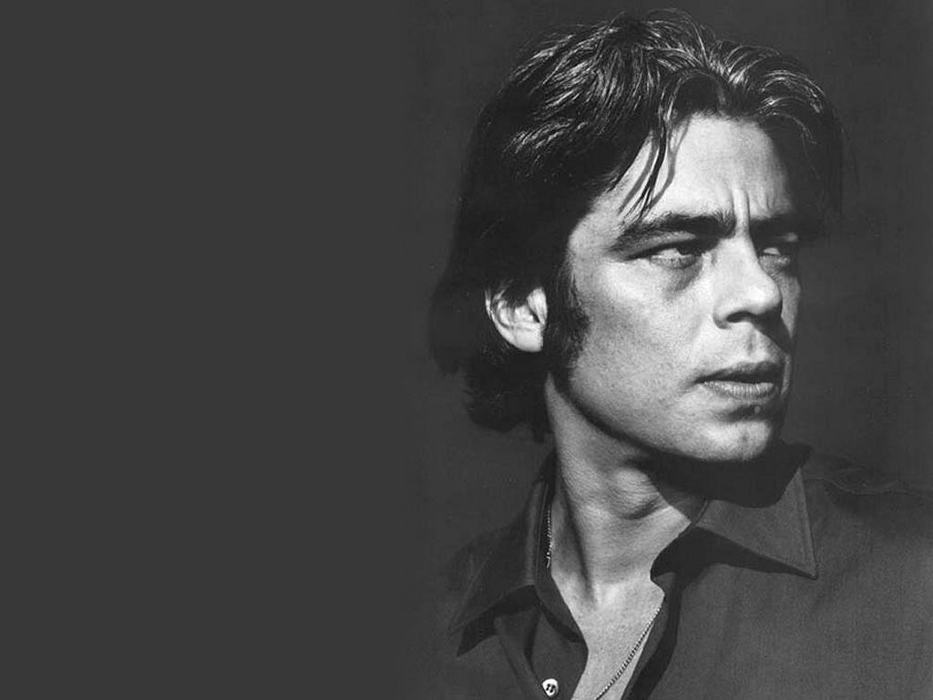 1024x768 Benicio Del Toro Wallpaper