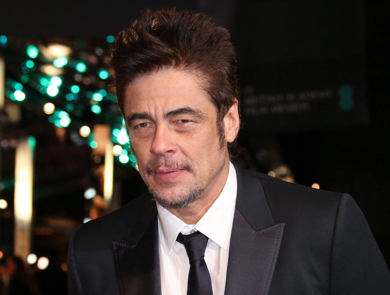 1365x1033 Benicio del Toro on what makes him 'giggle, ' and his new film, 'A Perfect Day'
