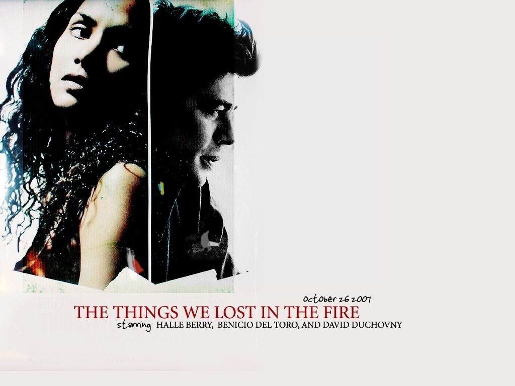 1024x768 Things We lost in the fogo del Toro wallpaper