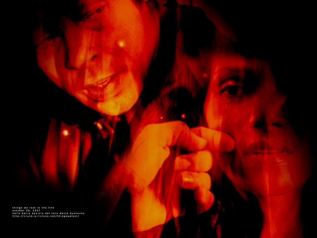 1024x768 Things We Lost in the Fire del Toro Wallpaper