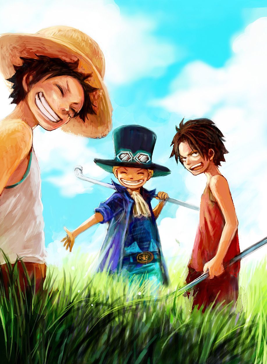 918x1251 monkey d. luffy, portgas d. ace, and sabo (one piece) drawn