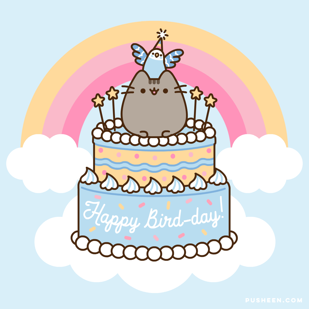1080x1080 Pusheen