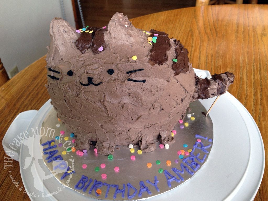 1024x768 Confetti Cat Birthday. Sculpted Pusheen cat birthday cake
