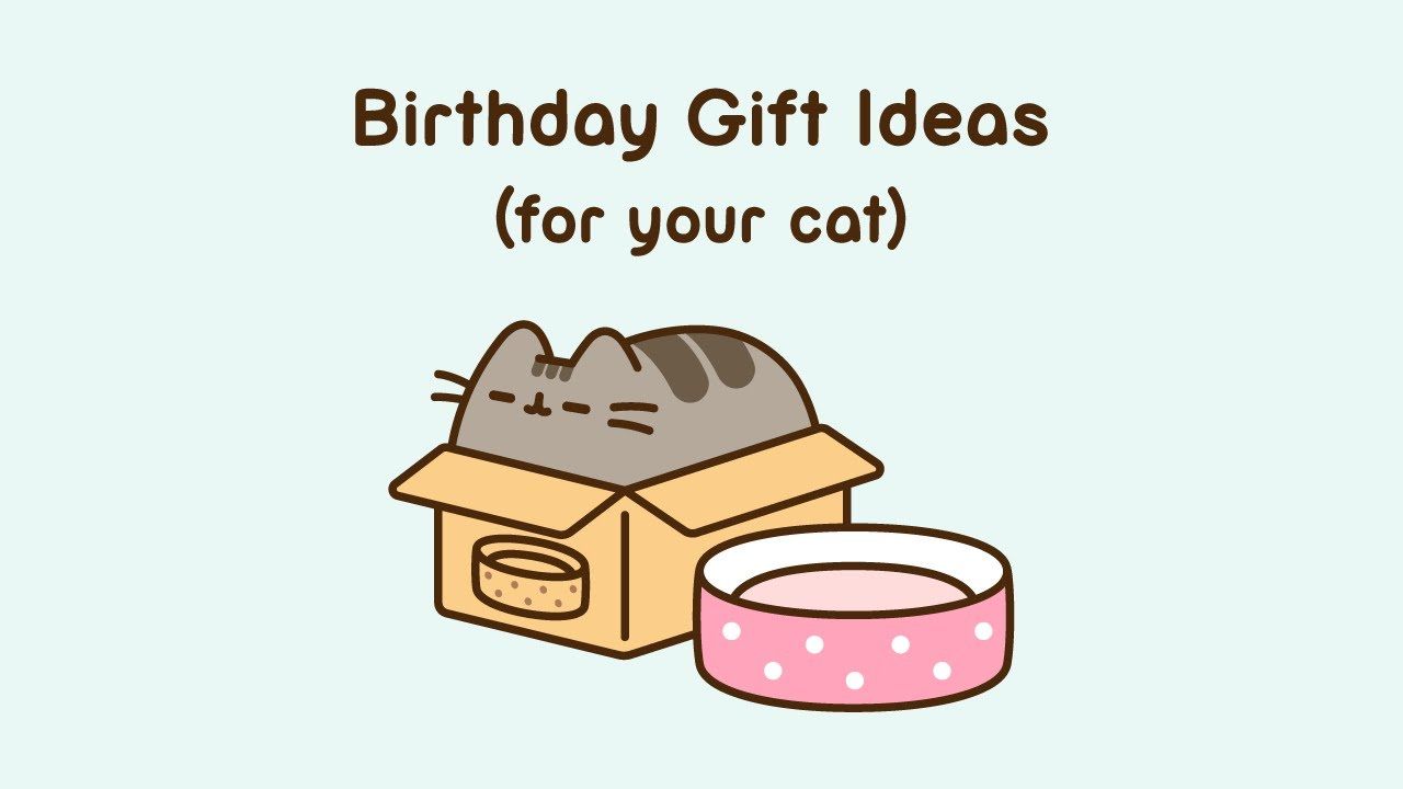 1280x720 Pusheen: Birthday Gift Ideas (For Your Cat)