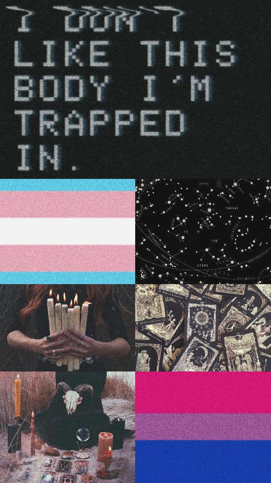 910x1620 Trans Pride Wallpaper