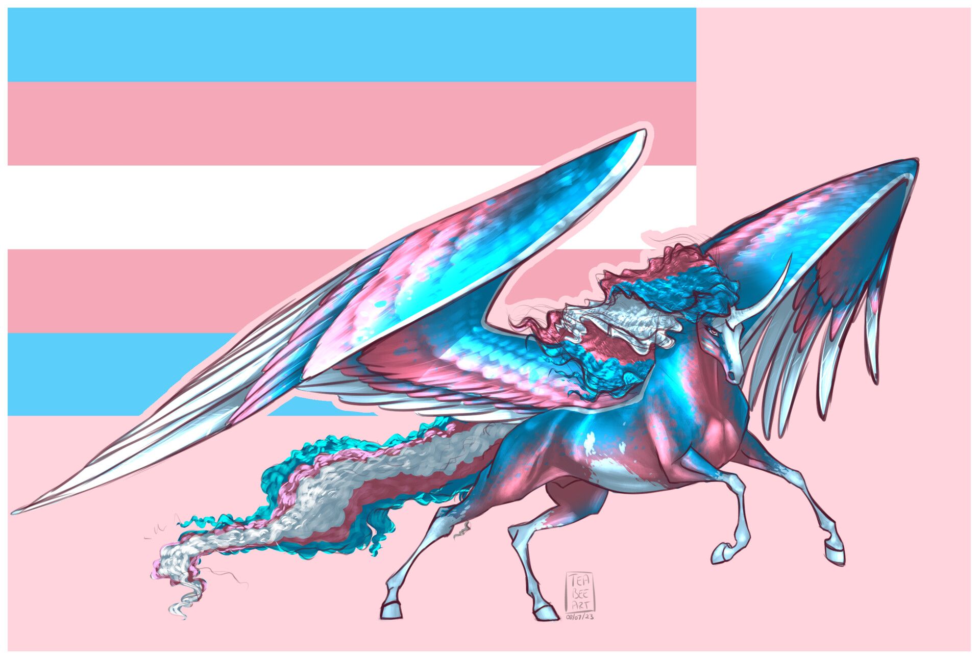1920x1292 Trans Pride Equine