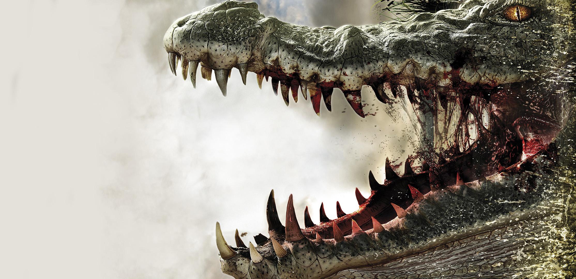 100 Alligator Pictures  Download Free Images on Unsplash