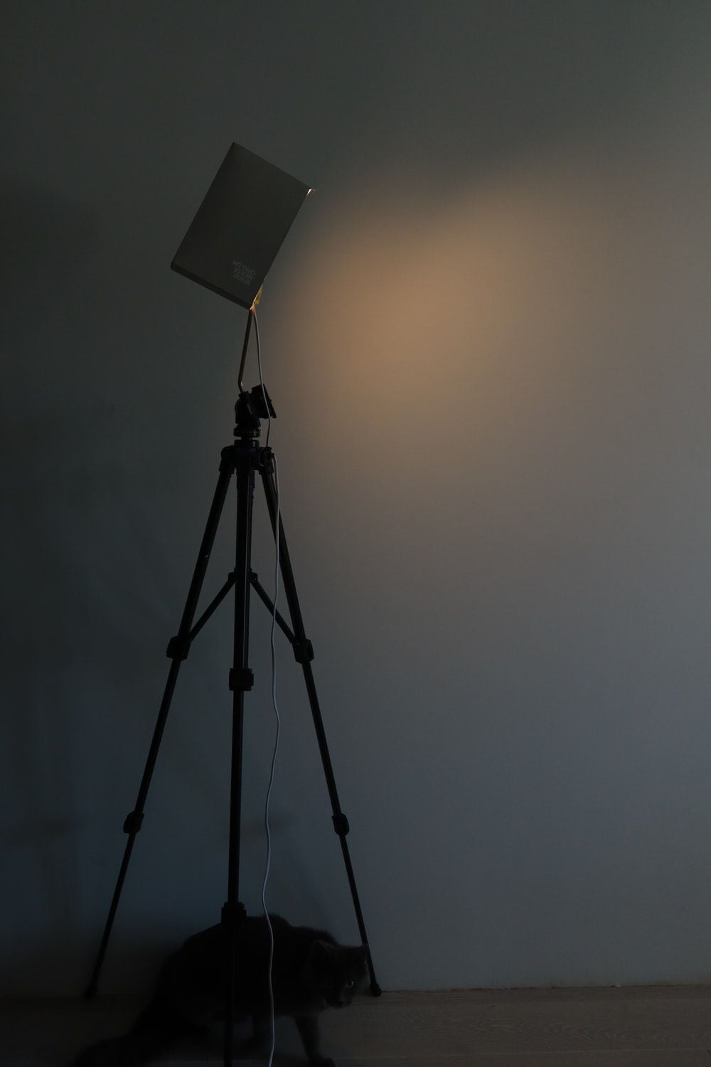 1000x1500 Tripod Wallpaper