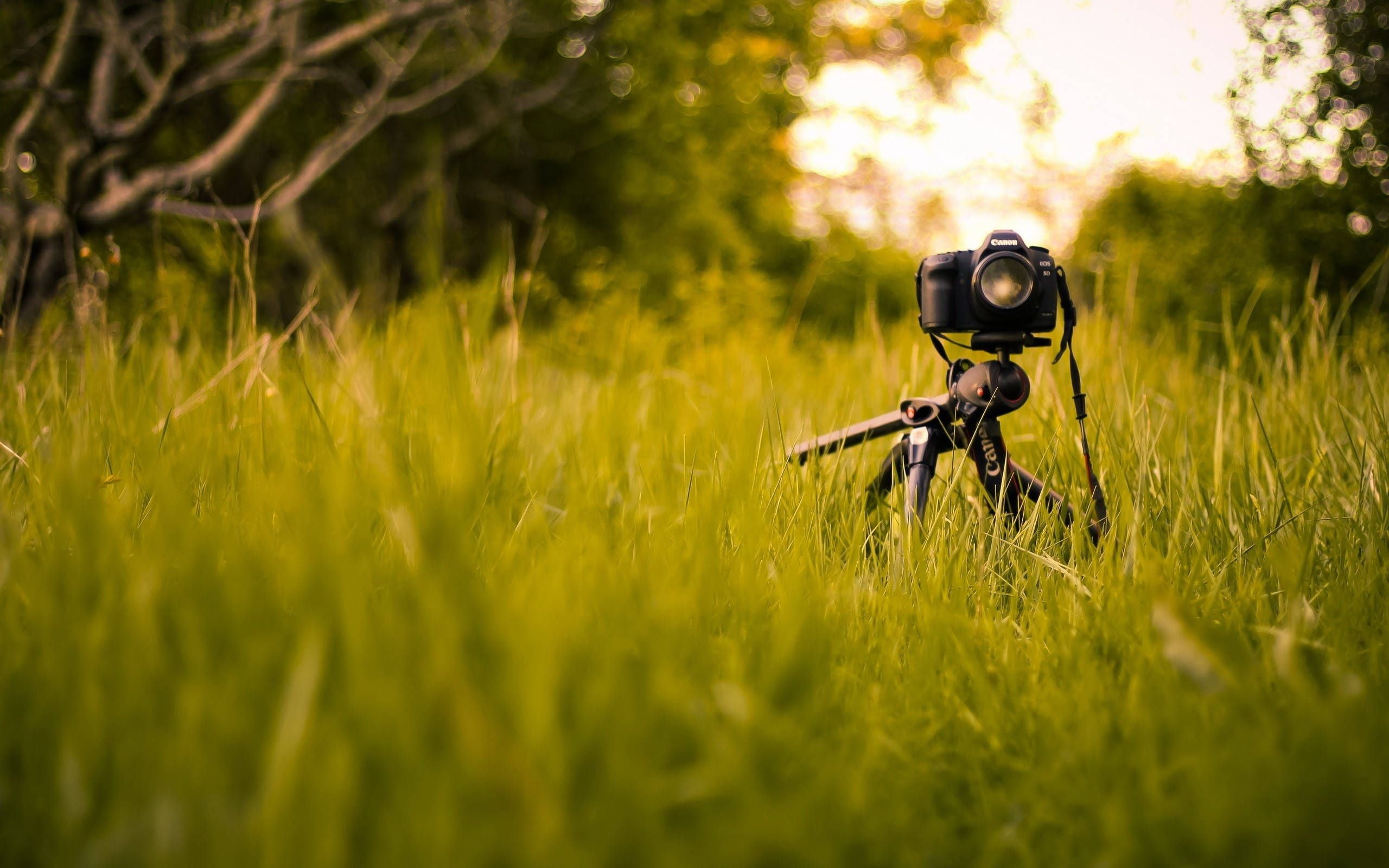 2560x1600 HD Camera Wallpaper