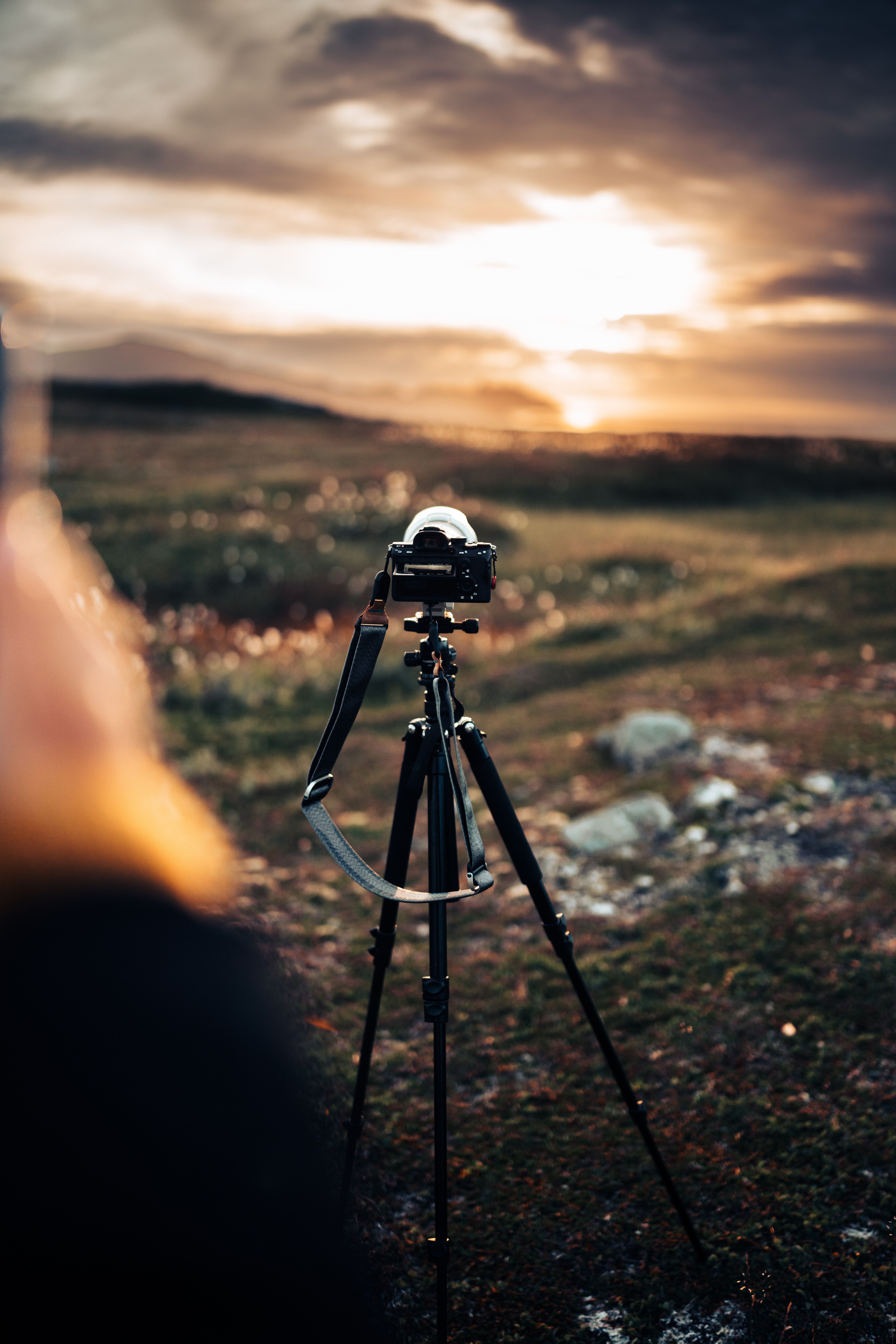 5461x8192 Camera on a Tripod in a Natural Setting During Sunset · Free
