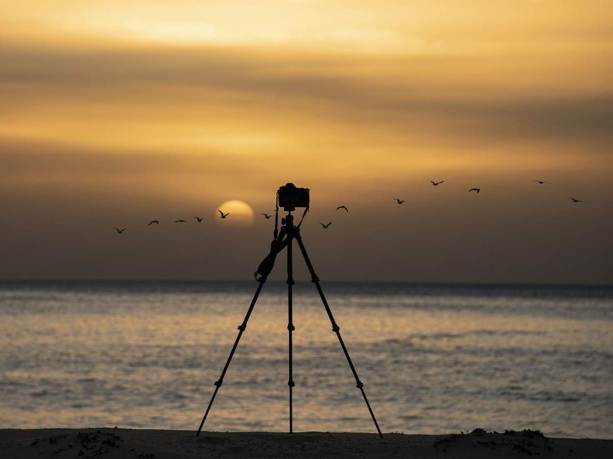 1200x900 Heavy Duty Tripods For Heavy Lenses And Cameras of India