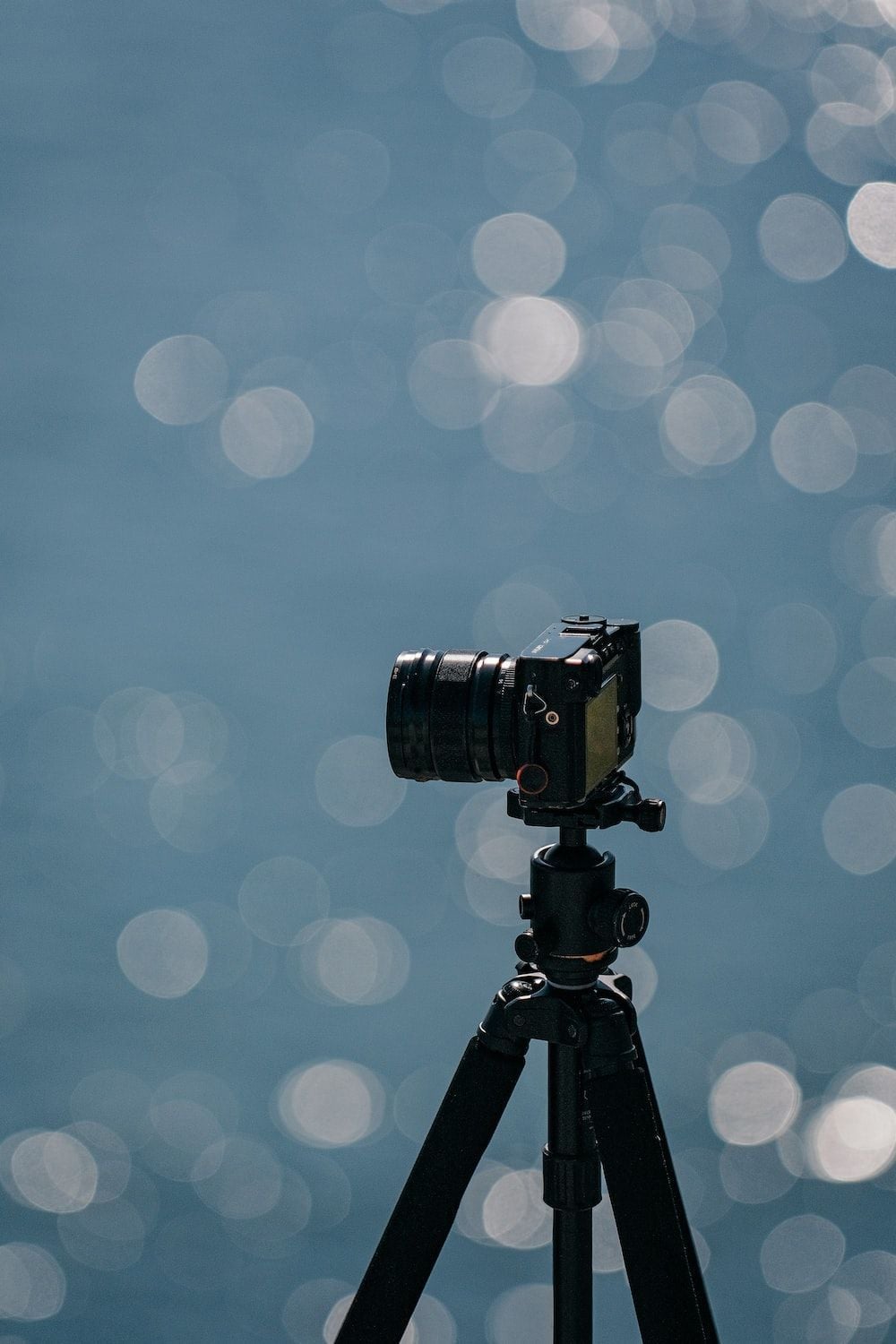 1000x1500 Black dslr camera on tripod photo