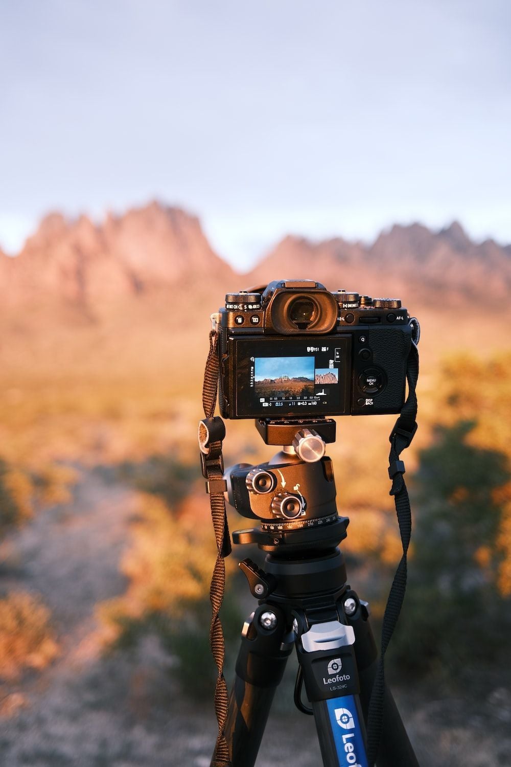 1000x1500 A tripod with a camera attached to it photo