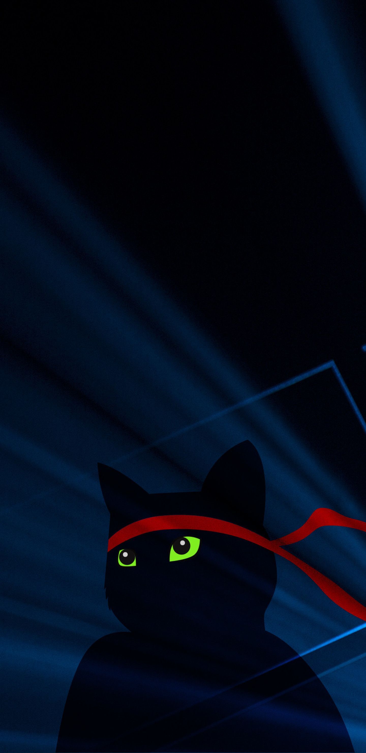 1440x2960 Cat Ninja Wallpaper