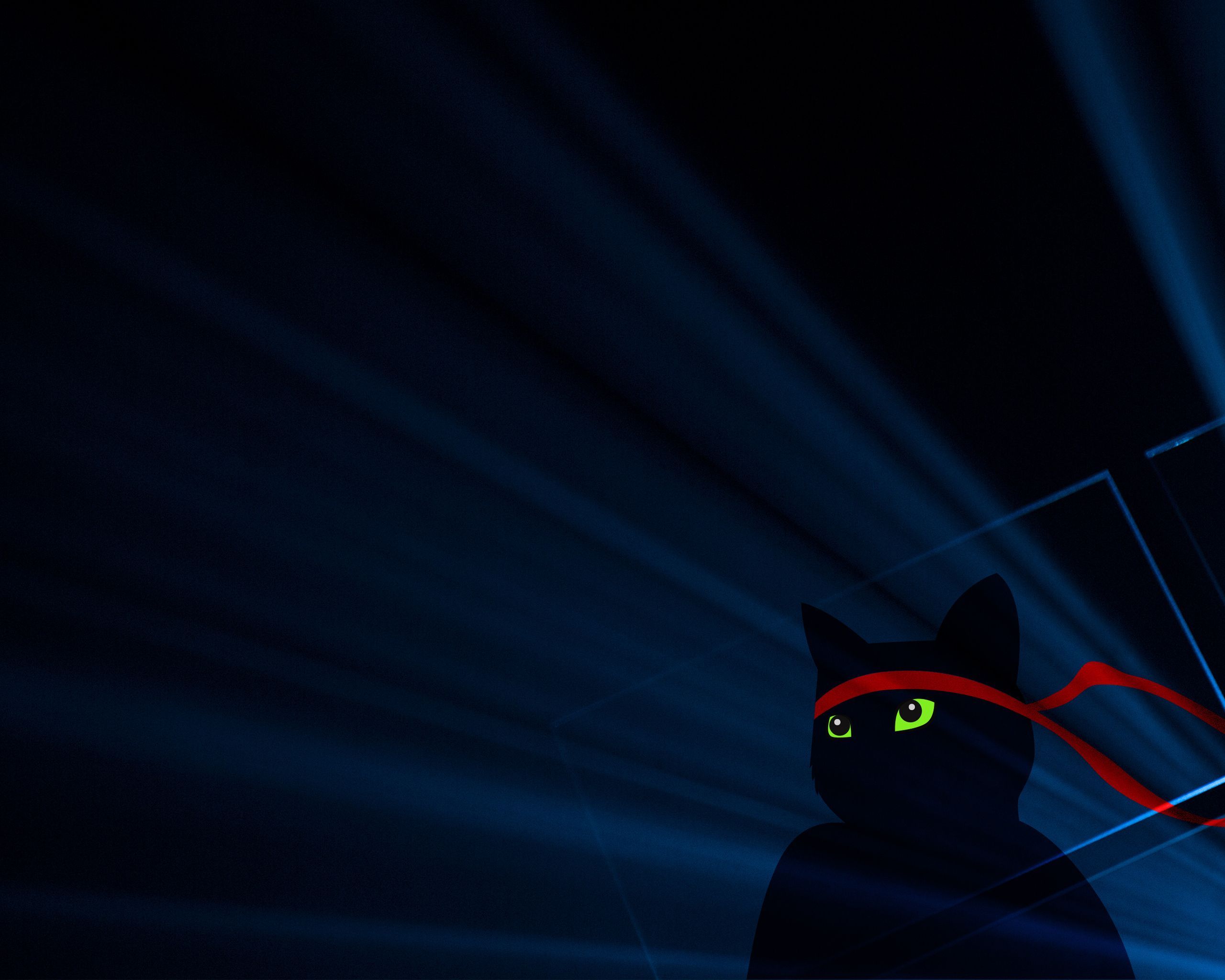 2560x2048 Download Windows Ninjacat, Ninja cat, Computer Wallpaper in 2560x2048 Resolution