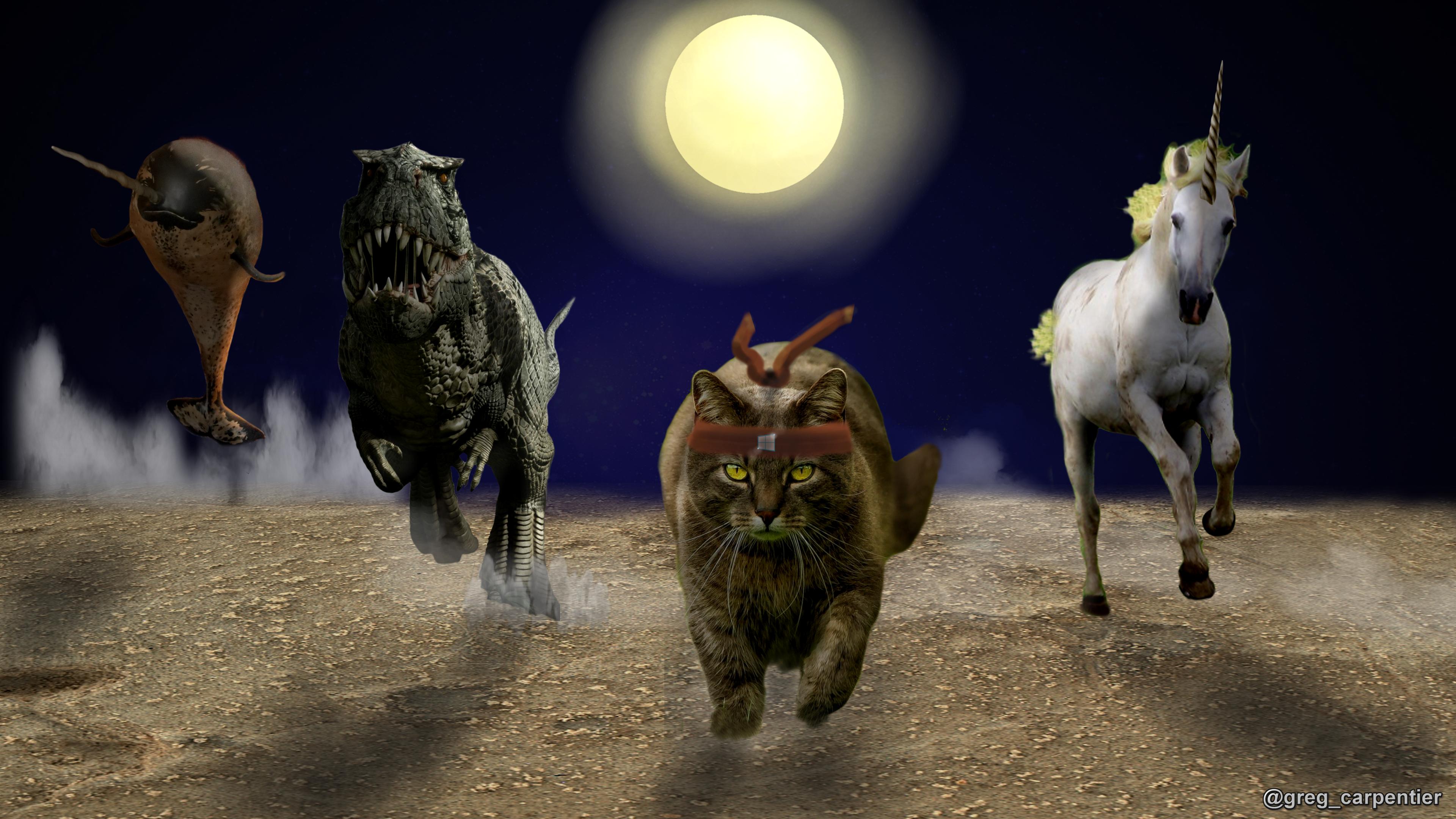3840x2160 Free download 10 Cool Ninja Cat Wallpaper For Microsoft Windows 10 That Will Make [3840x2160] for your Desktop, Mobile & Tablet. Explore Ninja Cat Wallpaper Windows 10