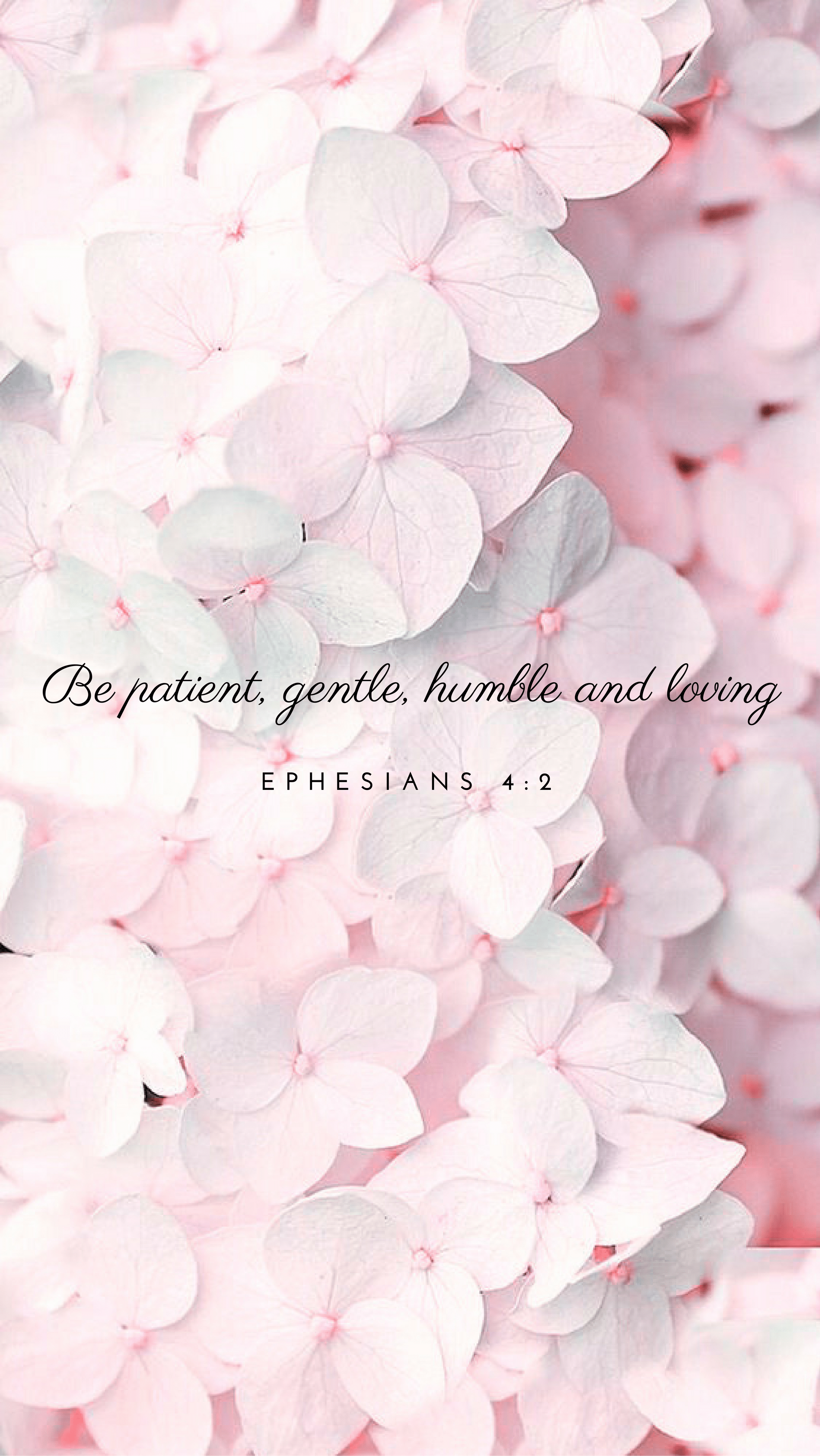 2132x3784 Ephesians Wallpaper