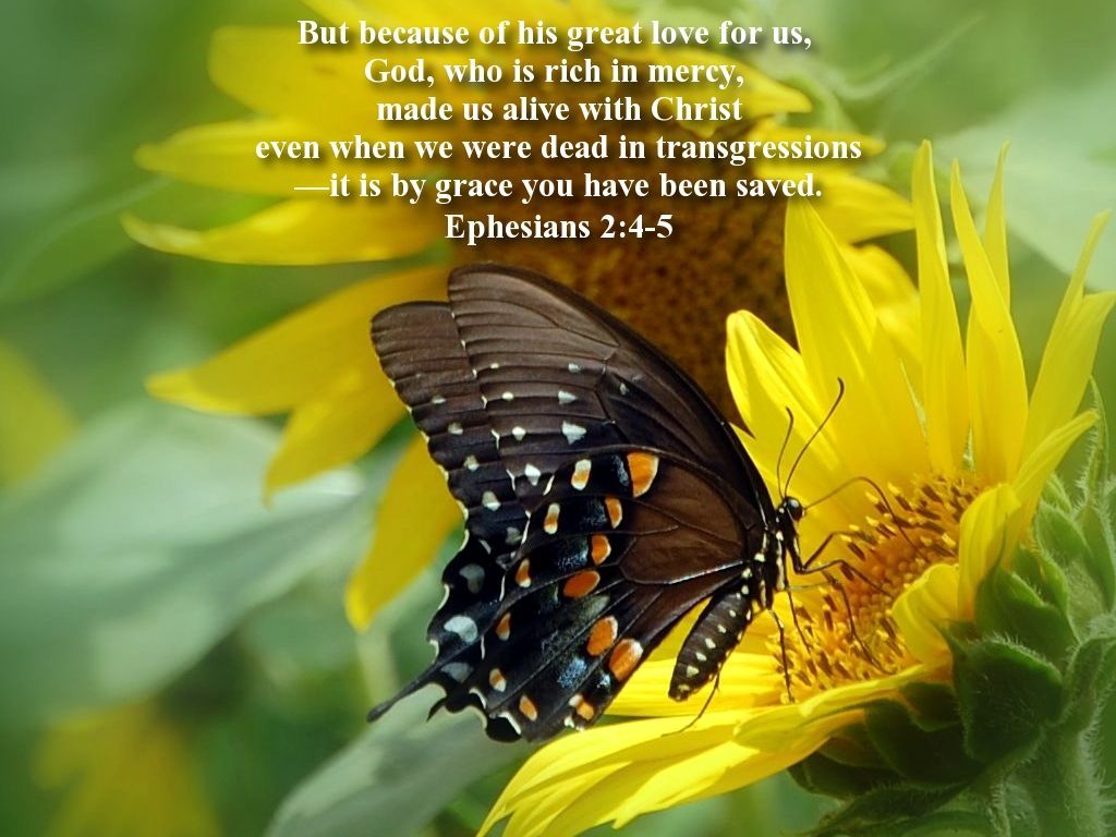 1024x768 Ephesians 2:4 5 Christian Wallpaper. Because Of His Great