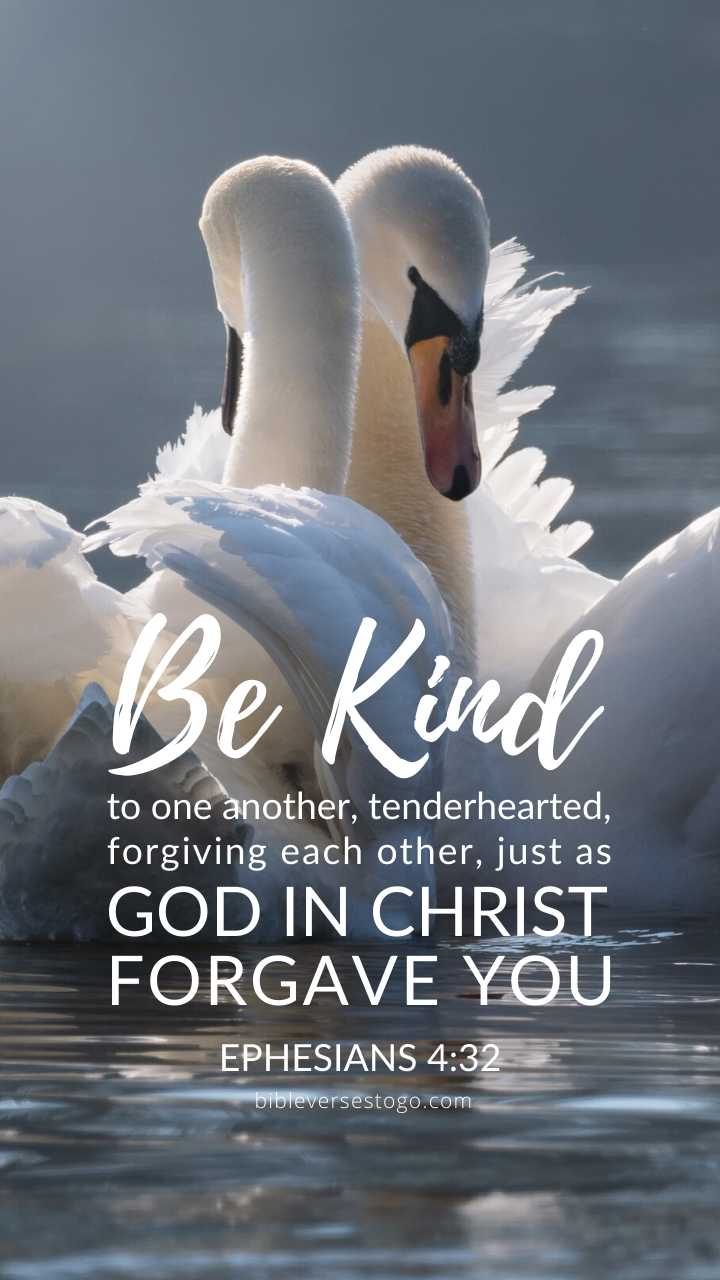 720x1280 Swans Ephesians 4:32