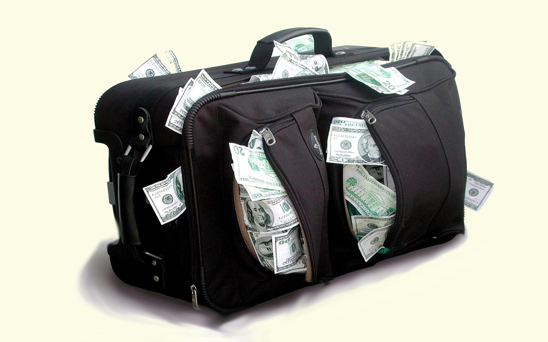 1920x1200 Wallpaper Dollars Money Handbag