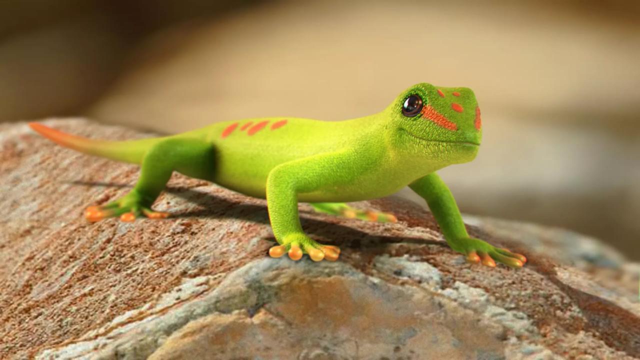 1280x720 Wallpaper Blink Wallpaper HD 6 X 1080 for Android