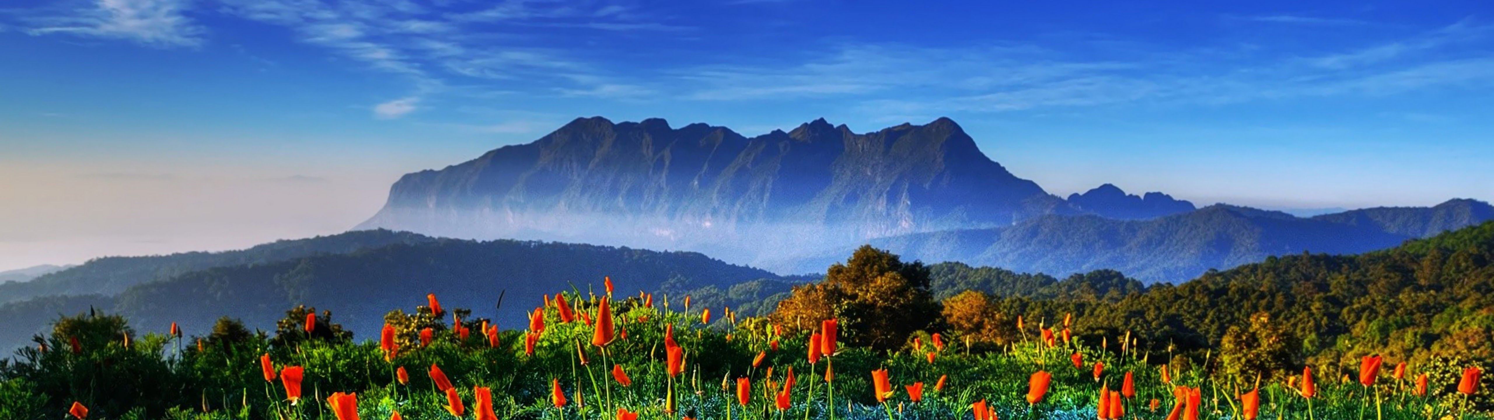 5120x1440 Spring 5120x1440 Wallpaper