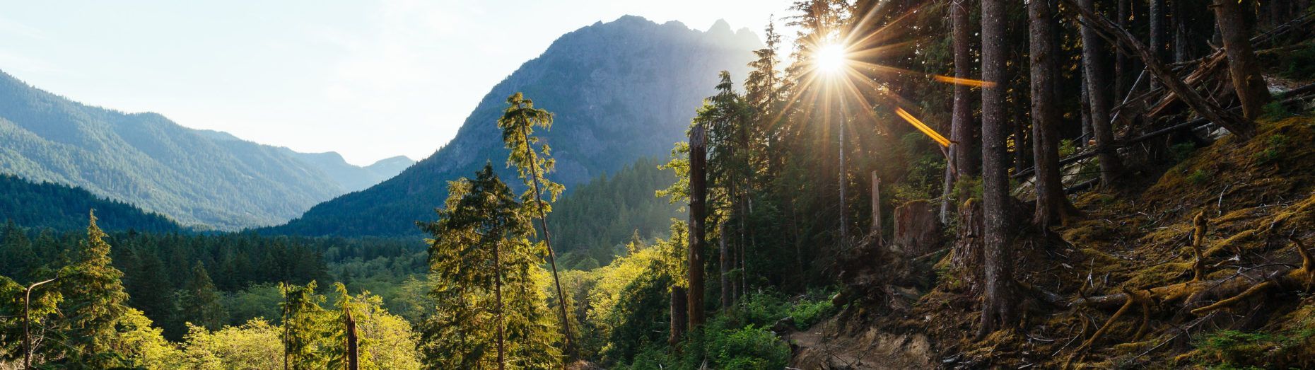 1860x523 Morning Hike