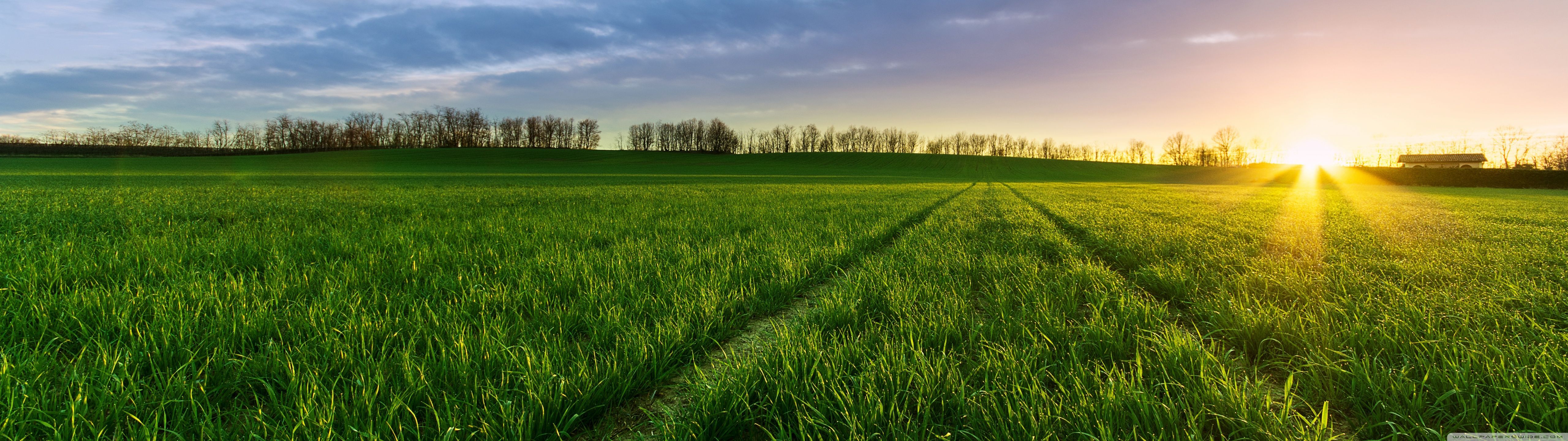 5120x1440 Spring 5120x1440 Wallpaper