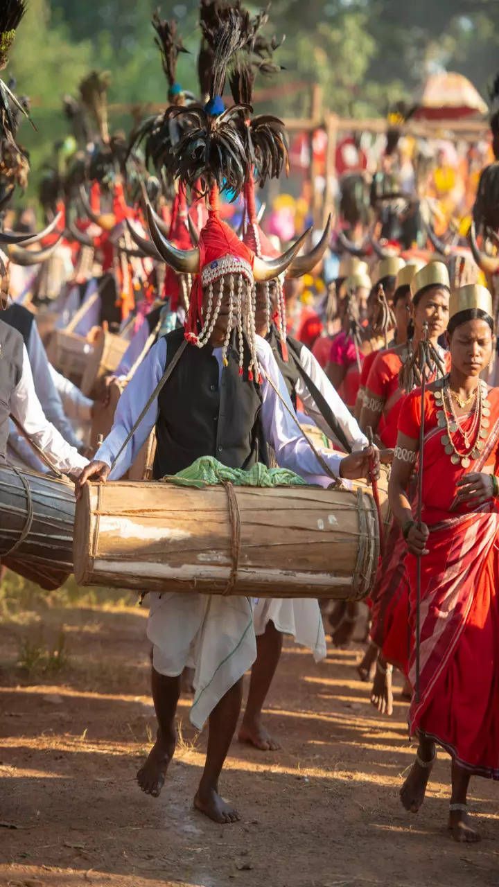 720x1280 Chhattisgarh: Photo that bring out the beauty of Chhattisgarh. Times of India