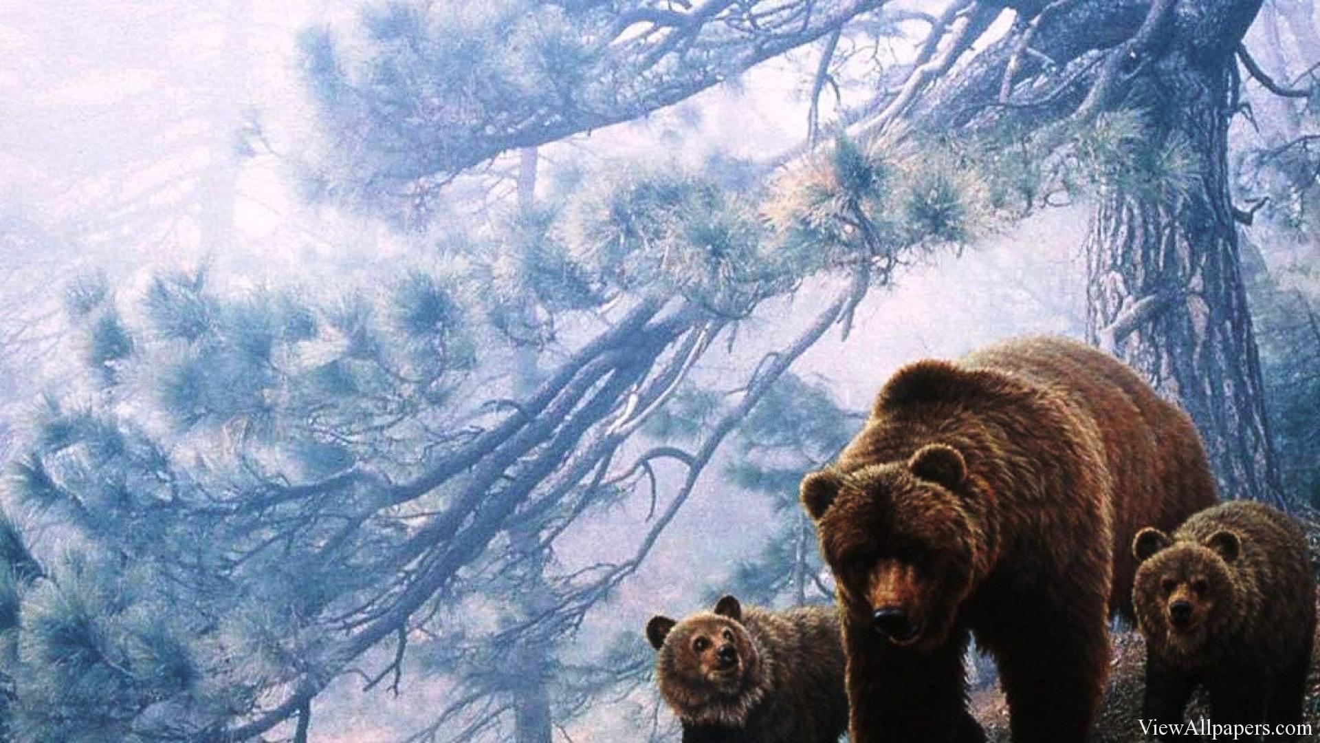 Bear Computer Wallpapers - Top Free Bear Computer Backgrounds ...