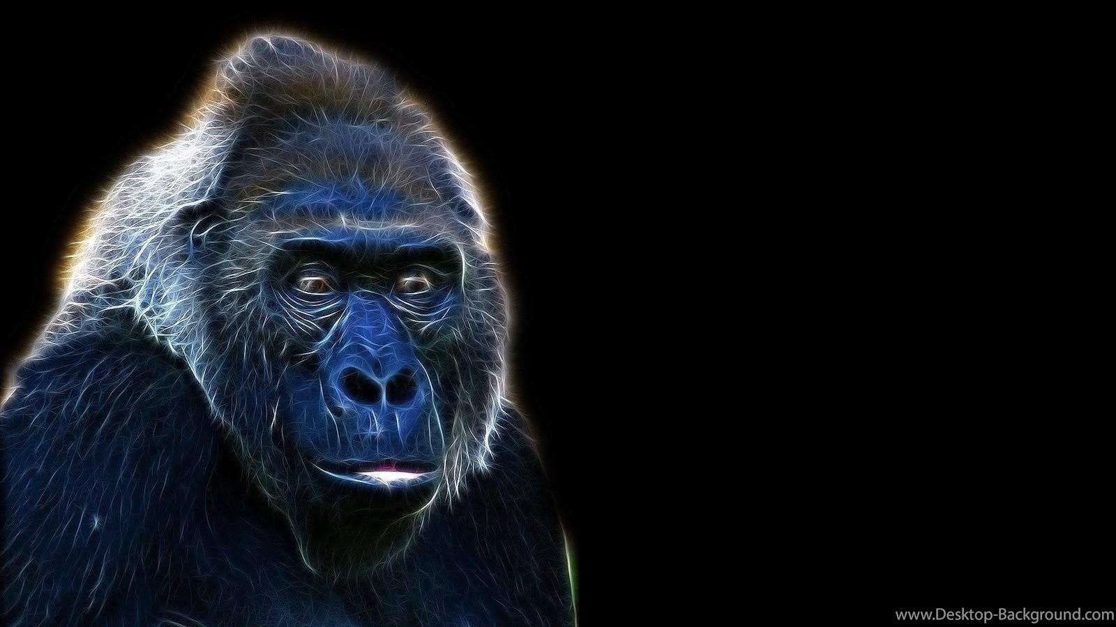 80p gorilla background
