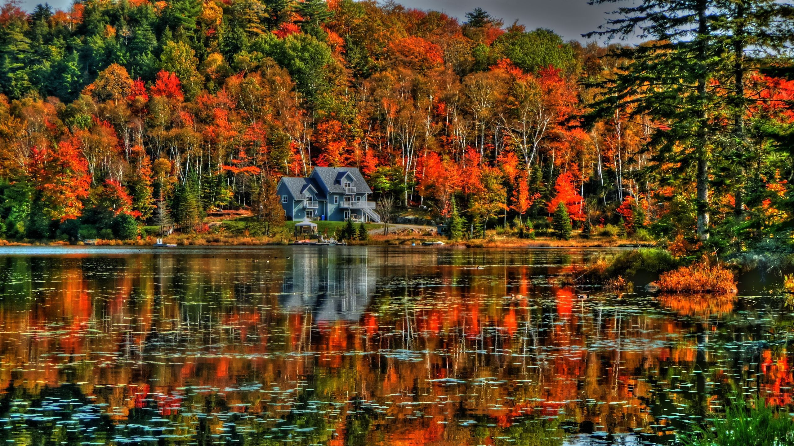 2560x1440 DPI Wallpaper