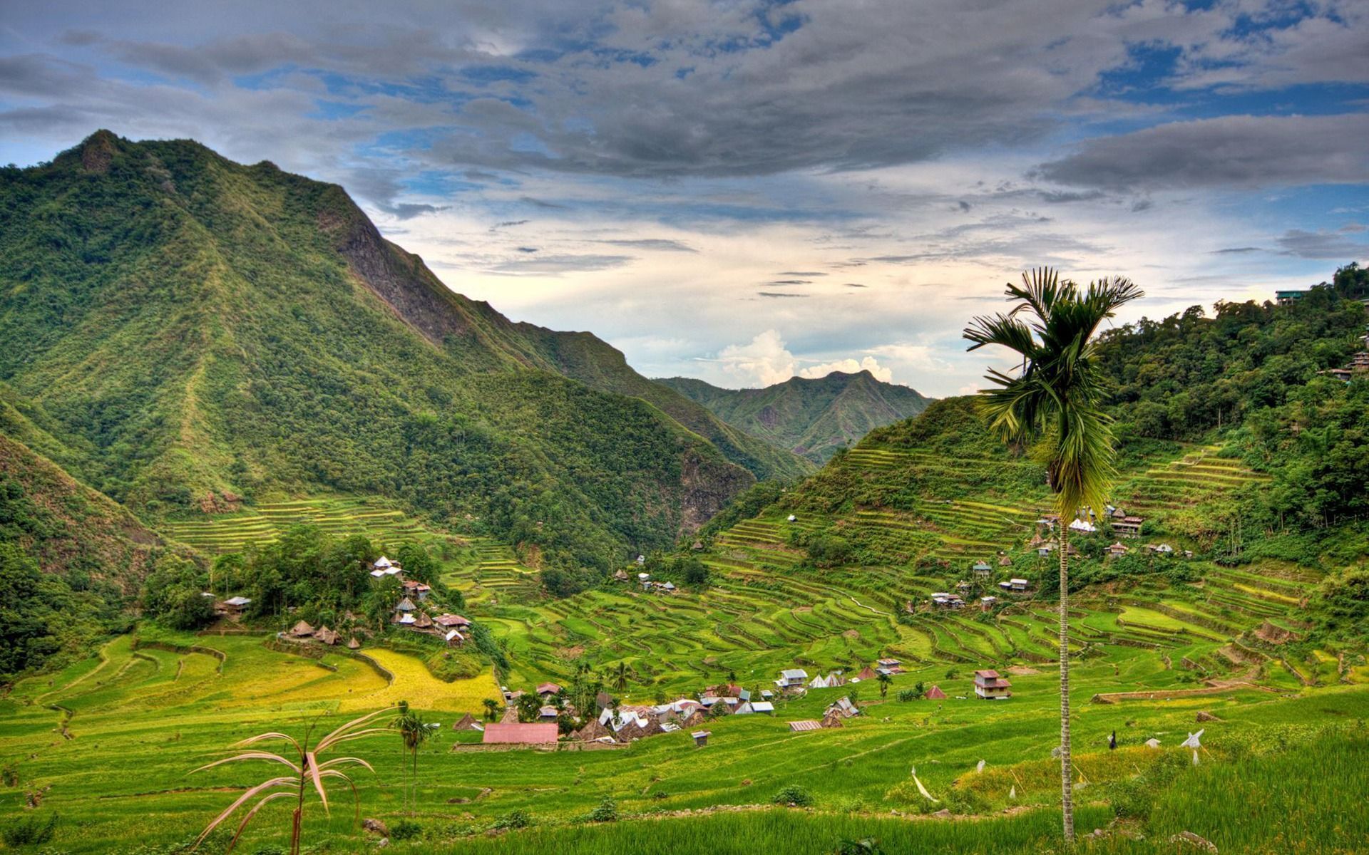 1920x1200 Banaue Rice Terraces Philippines National Geographic Wallpaper