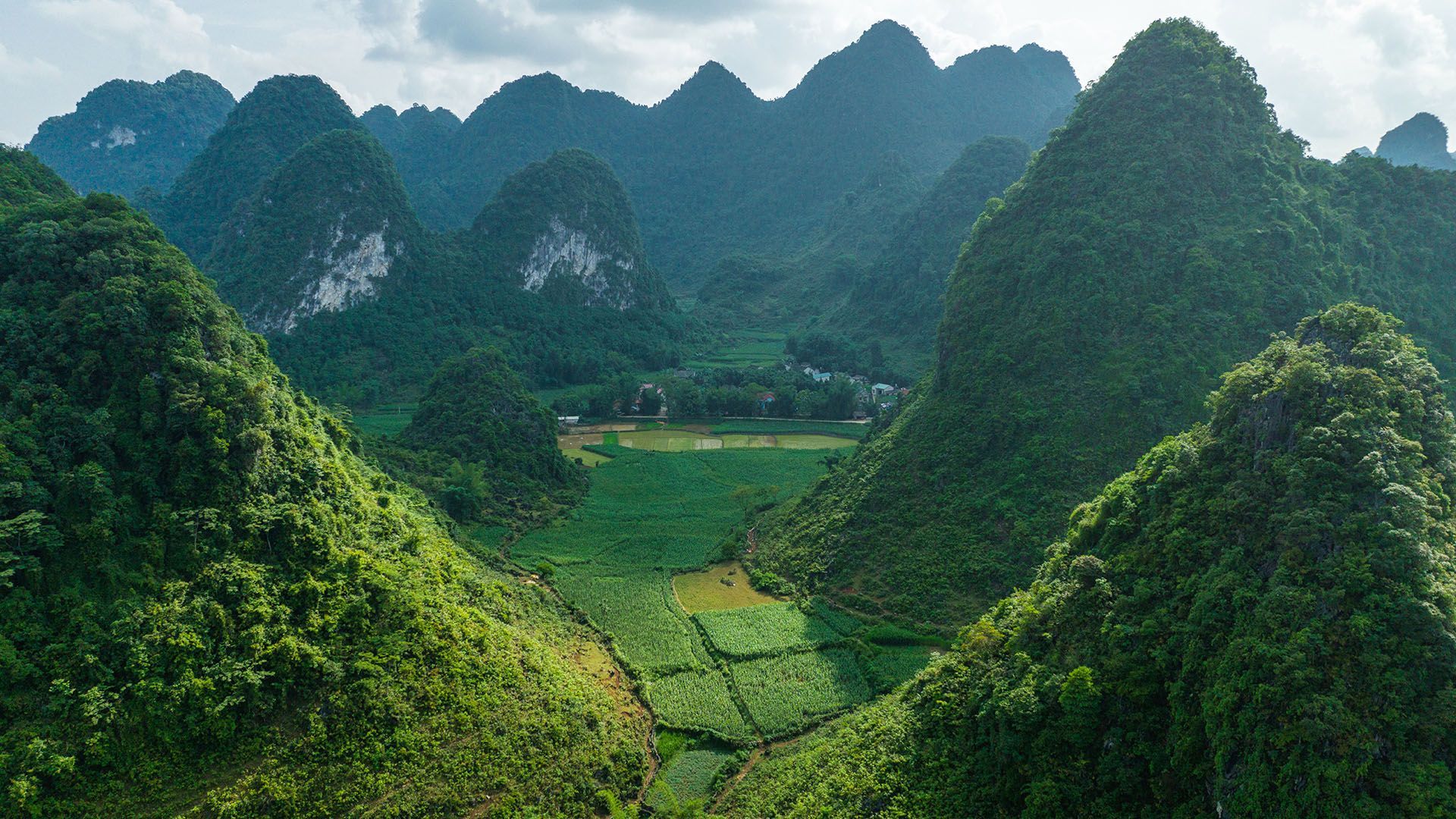 1920x1080 Rice field and strange shape high mountain at sunrise, Cao Bằng Province, north of Vietnam. Windows Spotlight Image