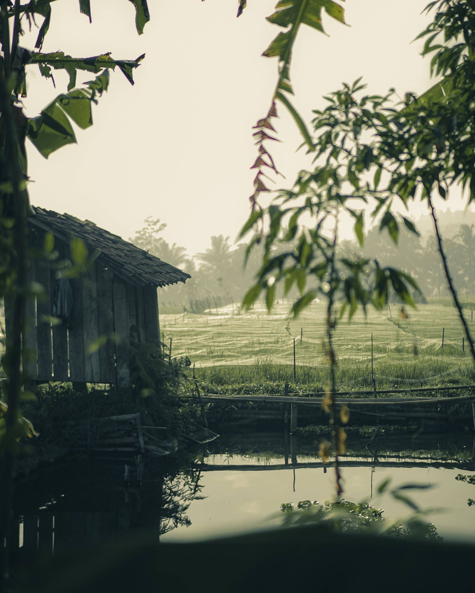 1536x1920 Download Image A pictureque view of the countryside on a rainy day. Wallpaper