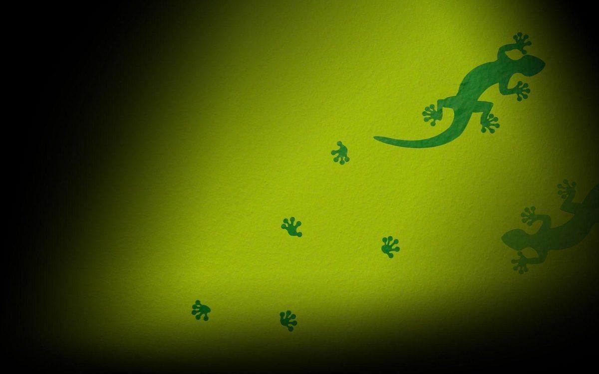 1200x750 Green lizard wallpaper and image, picture, photo