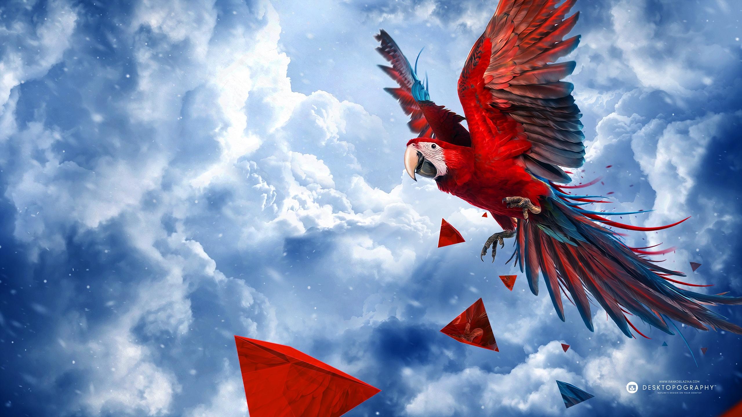 2560x1440 Stunning Red And Green Macaw HD Wallpaper By Ranko Blazinax1440