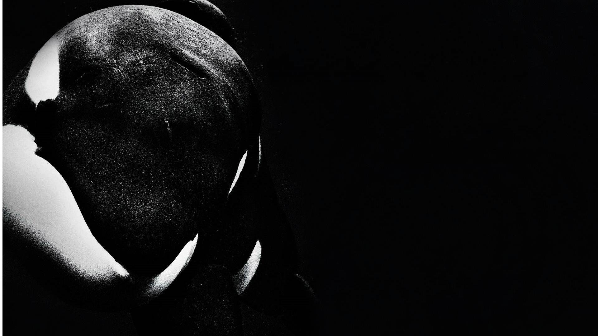 Orca Wallpapers Top Free Orca Backgrounds Wallpaperaccess