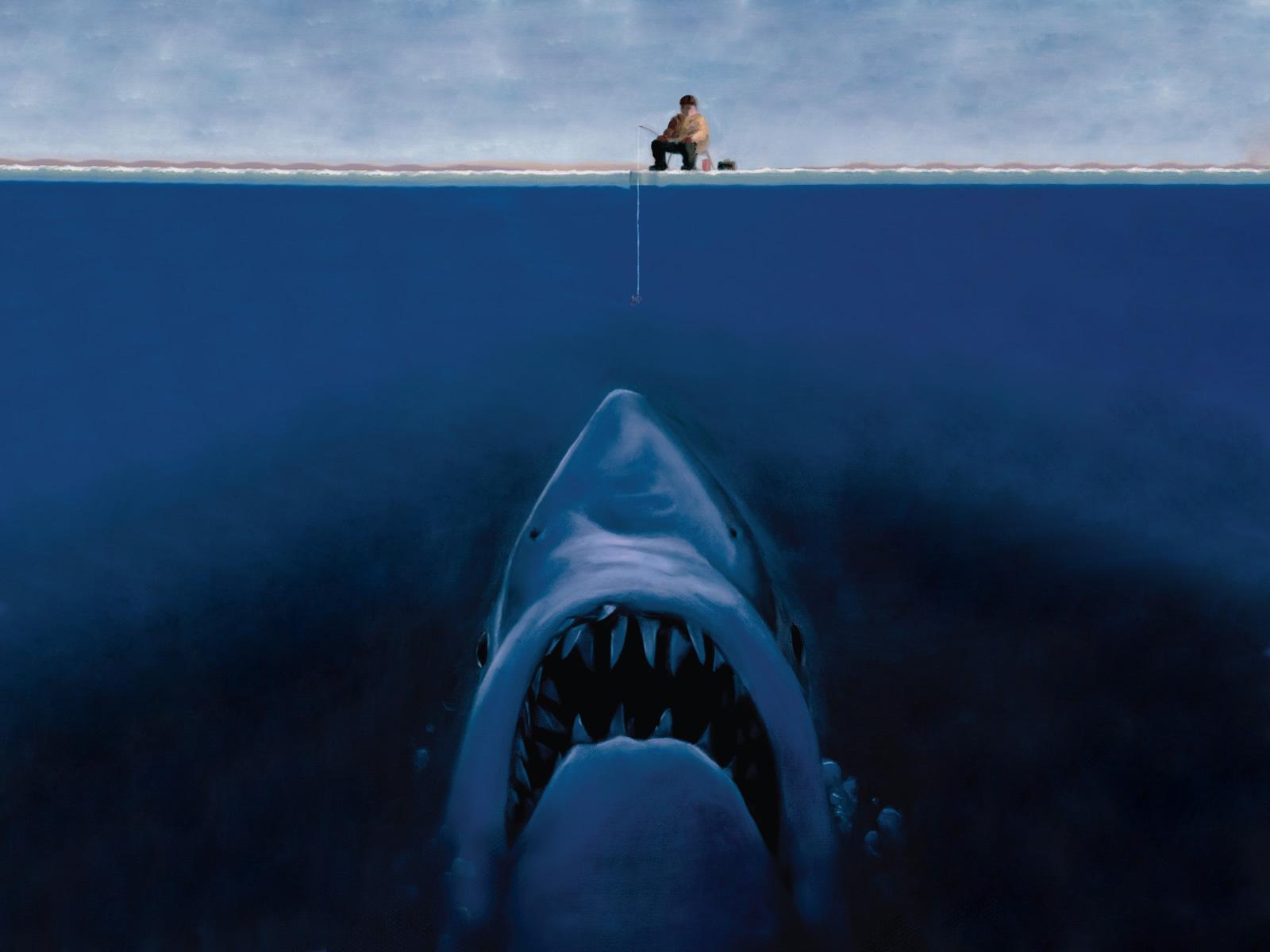 1600x1200 Sharks. Shark Fish Facts About HD Photo Collection