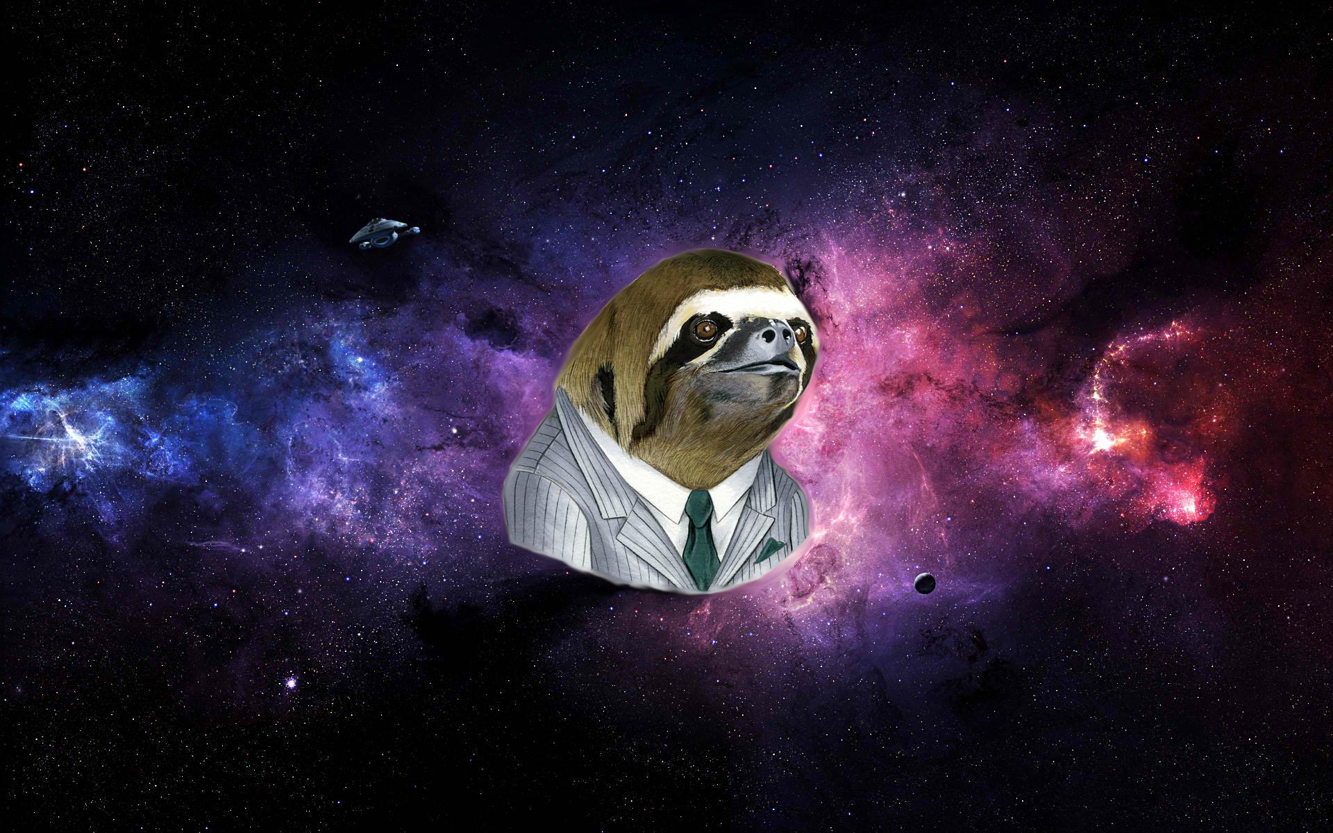 1920x1200 Sloth Wallpaper