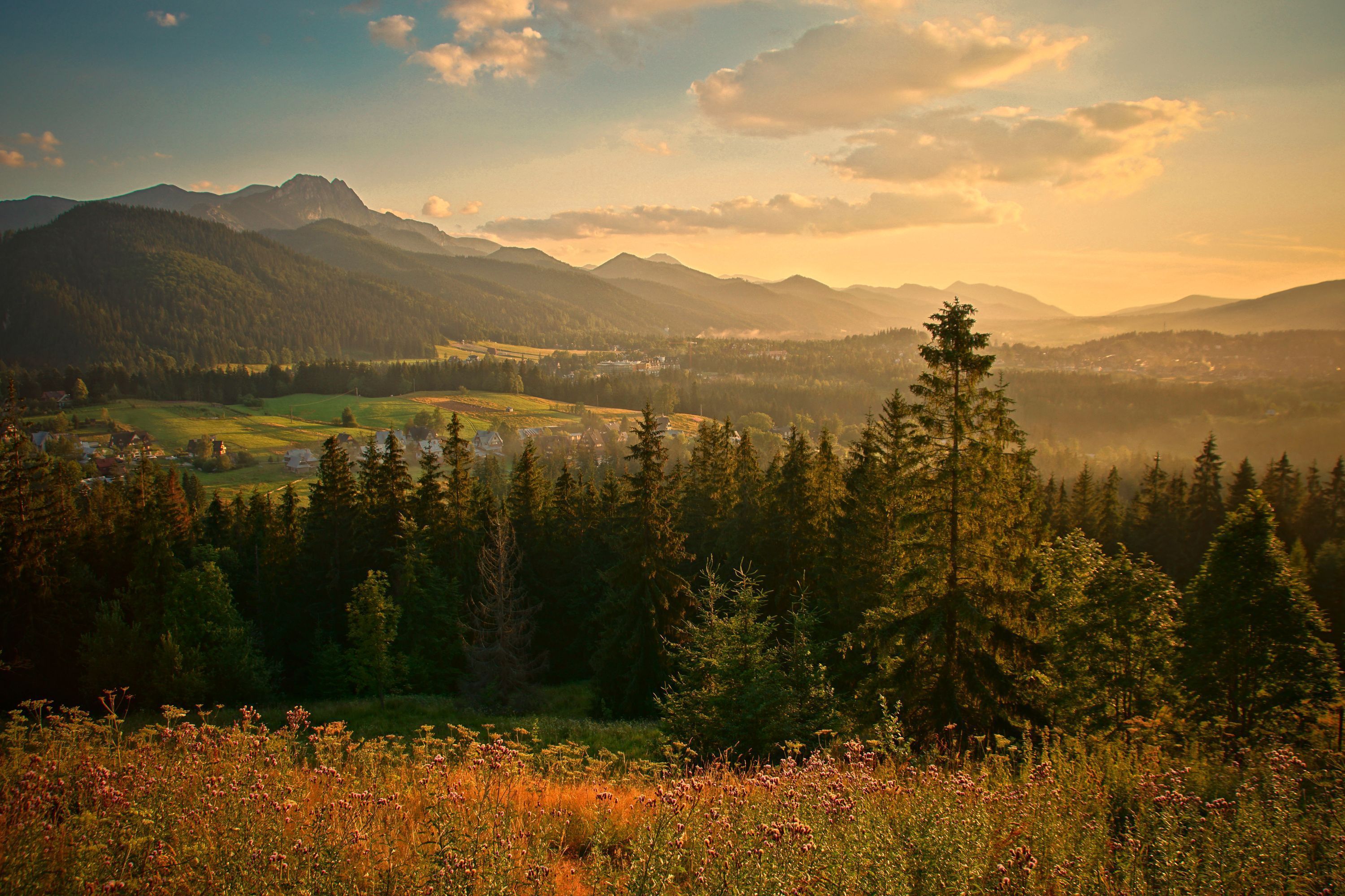 3000x2000 Picture Poland Zakopane Nature Spruce Mountains Grass 3000x2000