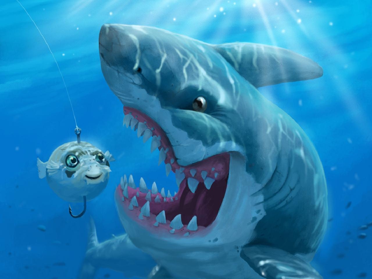 1280x960 Download Wallpaper for Cool Shark
