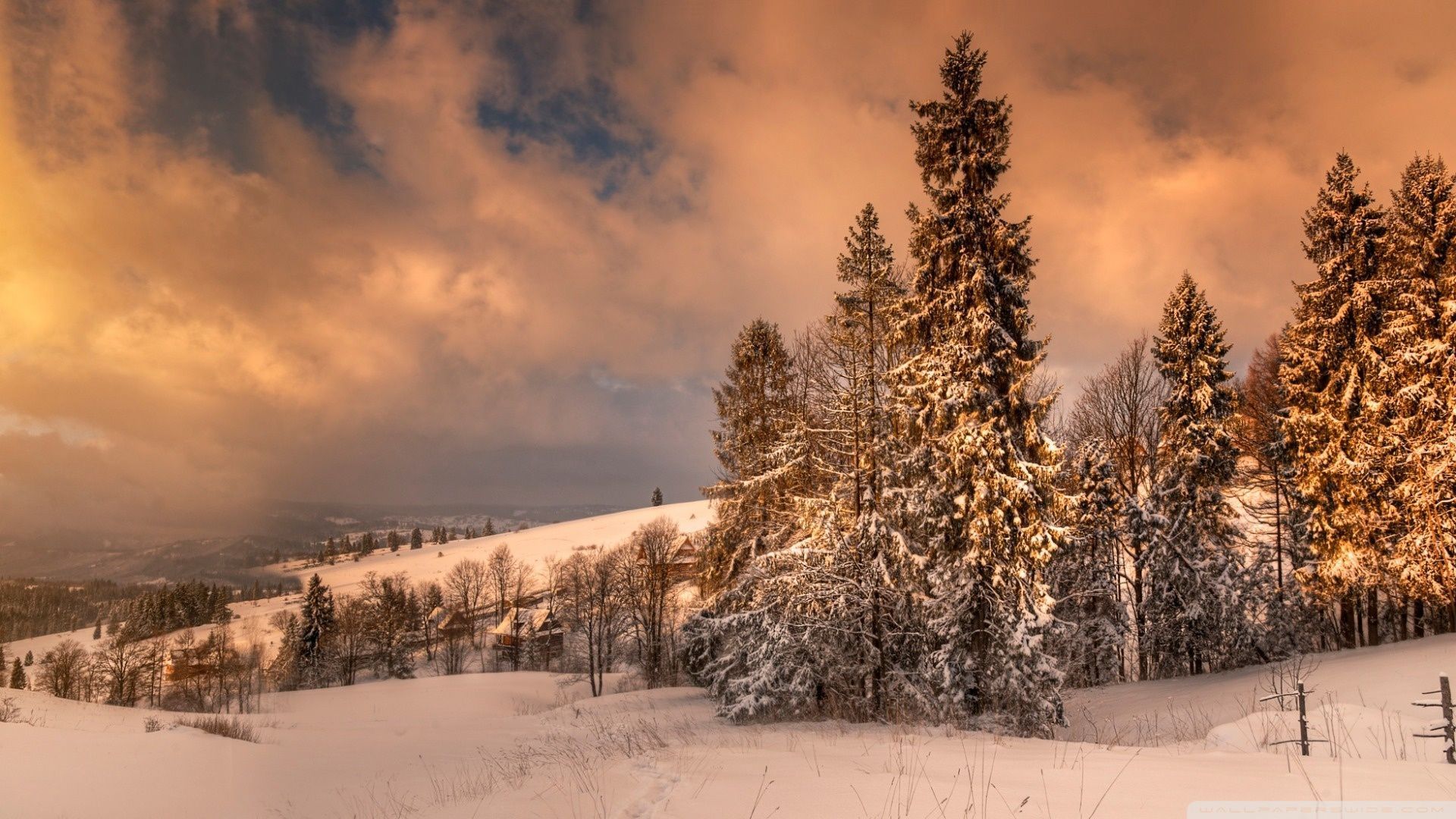 1920x1080 Winter In Zakopane Poland Ultra HD Desktop Background Wallpaper for 4K UHD TV : Widescreen & UltraWide Desktop & Laptop : Tablet