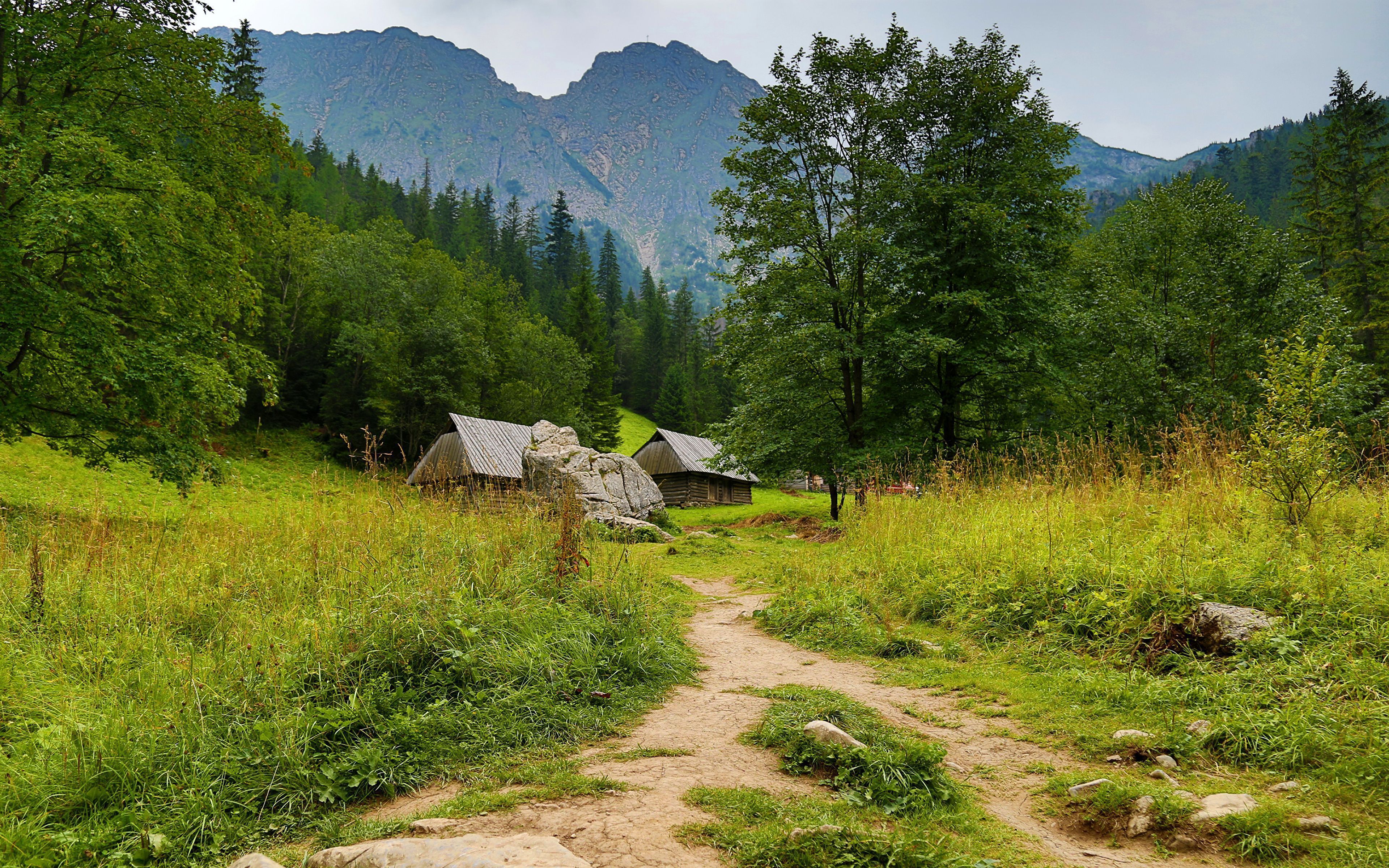 3840x2400 Photo Poland Zakopane path Nature Mountains forest Grass 3840x2400